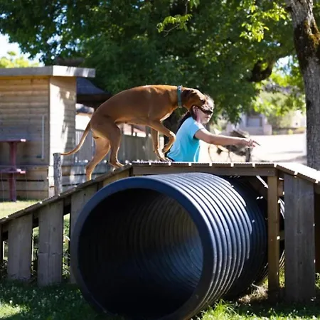 4 Etoiles - Piscine - Eed0fi Kamp alanı Thégra
