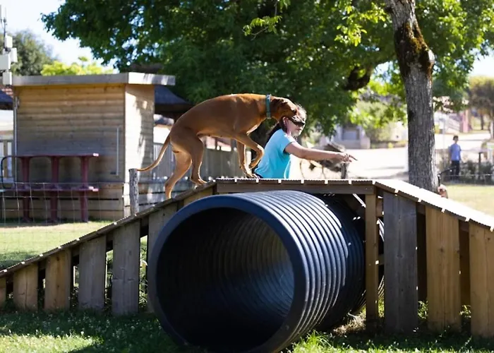4 Etoiles - Piscine - Eed0fi Kemp Thégra